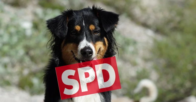 Vorschaubild: Hund als SPD-Mitglied sorgt für Verwunderung