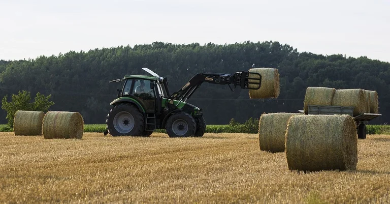Vorschaubild: Milchpreis und Rekordernte: Österreichs Bauern verdienen 18,8 Prozent mehr
