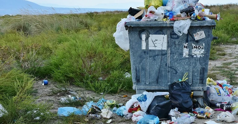 Vorschaubild: Tag der Erde 2018: „Verschmutzung durch Plastik stoppen“