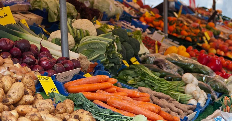 Vorschaubild: Greenpeace fordert gesünderes Essen in Kindergärten und Schulen