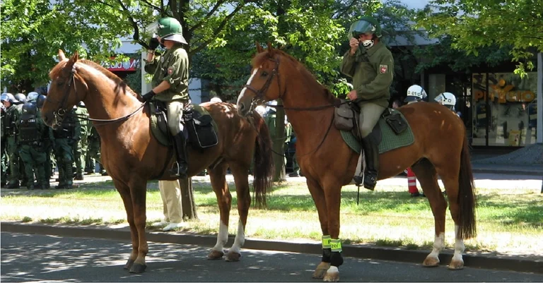 Vorschaubild: Berittene Polizei: Kaserne in Wien-Hietzing als möglicher Standort