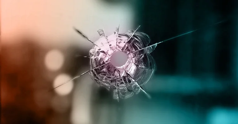 Vorschaubild: Einschusslöcher: Mutmaßlicher Anschlag auf AfD-Wahlkreisbüro in Magdeburg