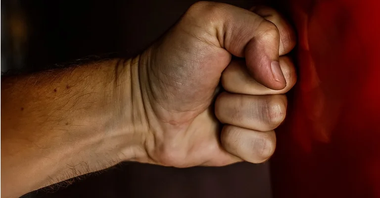 Vorschaubild: Burschenschafter verprügelt: FPÖ-Hafenecker beklagt „Saat der SPÖ-Hetze“