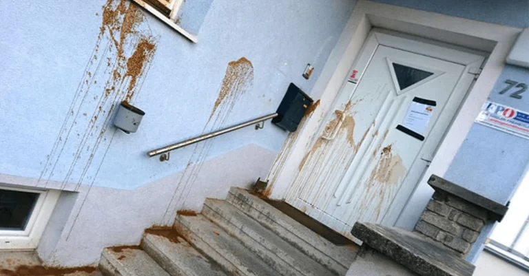 Vorschaubild: Tirol: Mutmaßliche Linksextreme beschmieren FPÖ-Zentrale mit Fäkalien