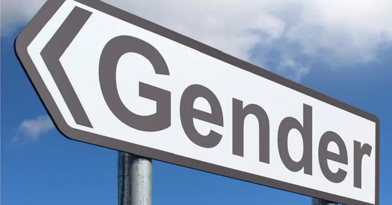 Vorschaubild: Sachsen: Sprachschützer üben Kritik an Gender-Beschluss für Gesetze