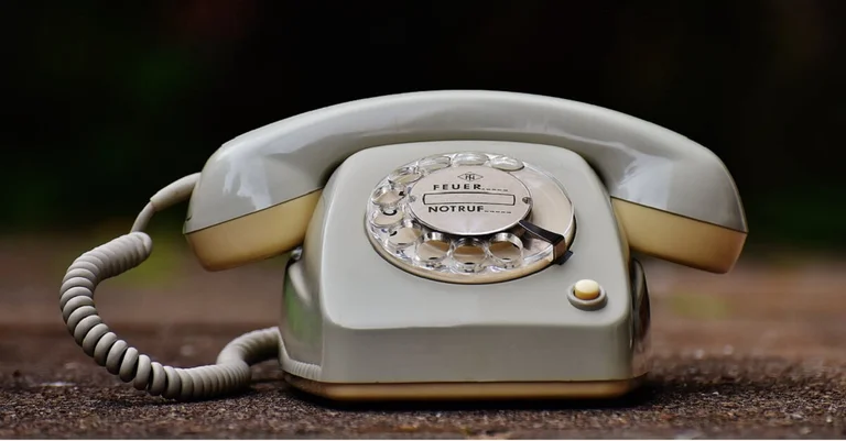 Vorschaubild: Durchwahl 8818: Grüne blamieren sich erneut mit Nazi-Unterstellung