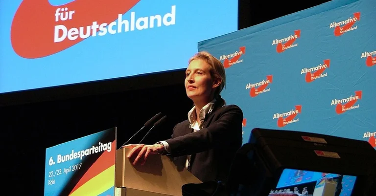 Vorschaubild: AfD-Weidel fordert „echte Grenzkontrollen“ statt „Seehofer-Placebos“
