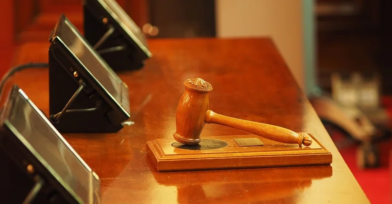 Vorschaubild: Verfassungsgericht: Vollbetreute dürfen bei EU-Wahl wählen