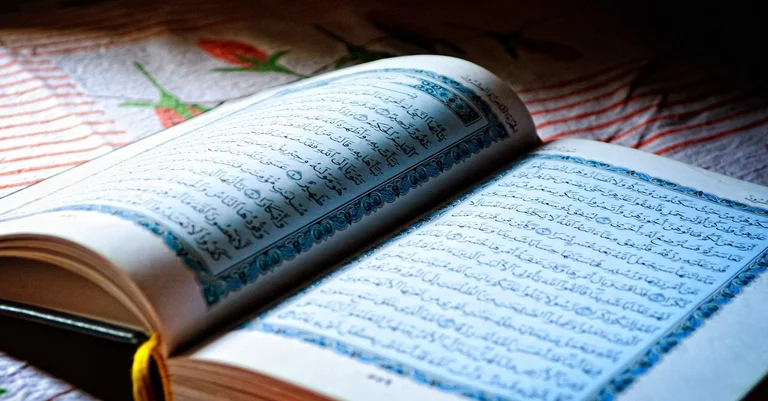 Vorschaubild: Hamburger Grünen-Abgeordnete sollen Islamismus nahestehen