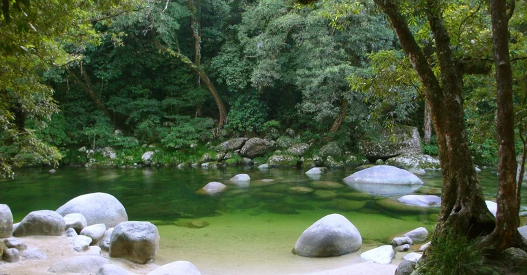 Vorschaubild: Kolumne: Patrioten müssen sich Umweltthema von Linken zurückholen