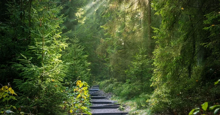 Vorschaubild: Gruppe minderjähriger Migranten soll Mädchen vergewaltigt haben