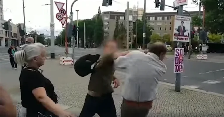 Vorschaubild: Dresden: AfD-Politiker an Infostand tätlich angegriffen