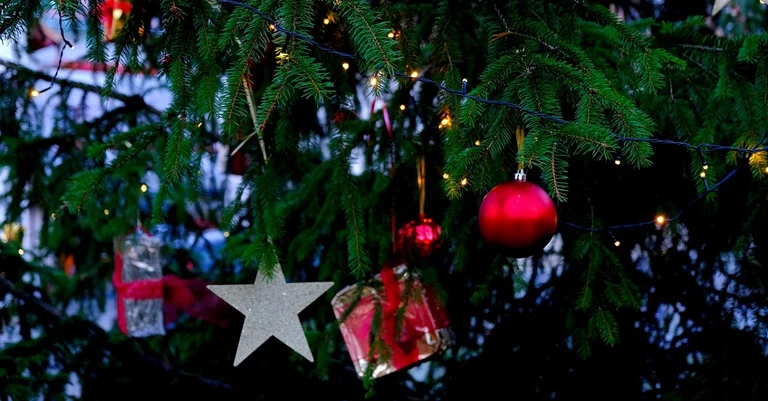 Vorschaubild: Wegen Gleichbehandlung: Autobahnmeisterei bekommt Christbaumverbot