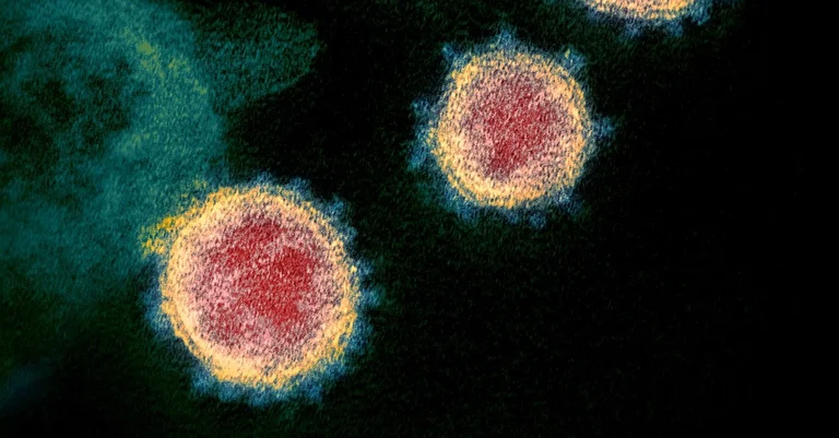 Vorschaubild: Coronavirus: Maßnahmen bleiben bis 13. April aufrecht
