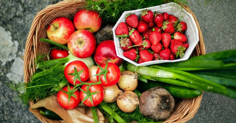 Vorschaubild: Greenpeace kritisiert geringe Selbstversorgung mit Obst und Gemüse