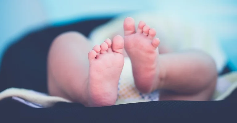 Vorschaubild: Frankreichs Bischofskonferenz kritisiert geplante Bioethikreform