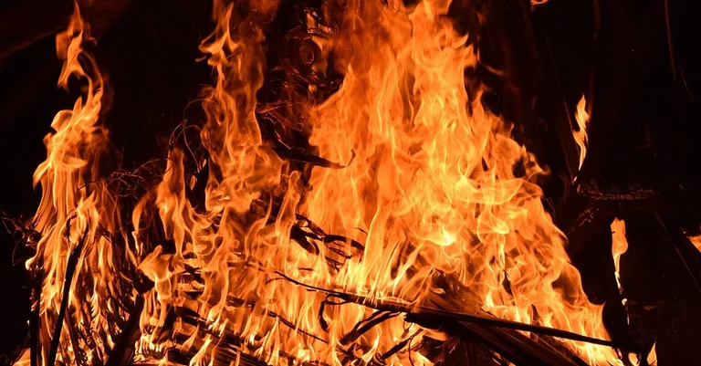 Vorschaubild: Grüner twittert: „Sachsen einfach kontrolliert abbrennen lassen“