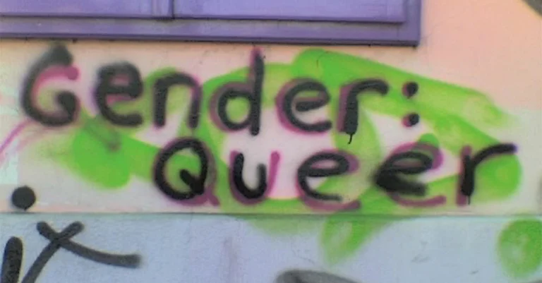 Vorschaubild: Vom Kampf der Geschlechter zum Kampf gegen die Geschlechter