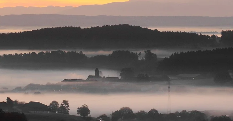Vorschaubild: Bürgerentscheid: Mehrheit für Windkraftanlagen in Ebersberger Forst