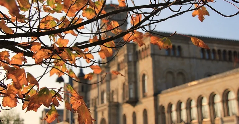 Vorschaubild: Hannover: Unis führen Armbänder für Corona-Einlass-Kontrollen ein