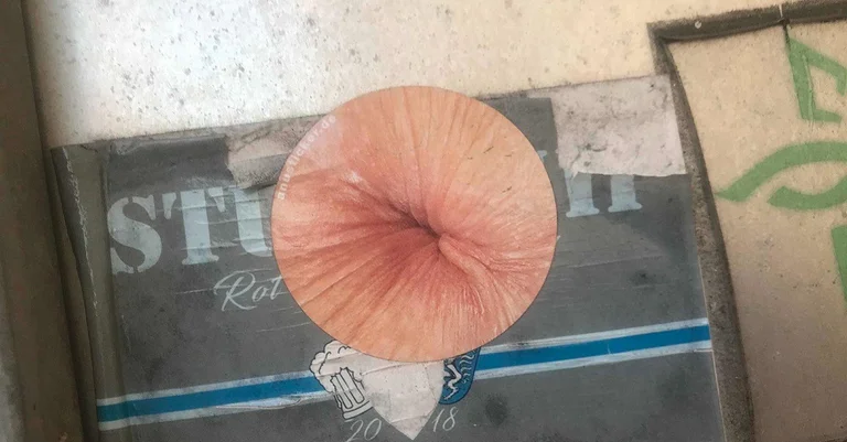 Vorschaubild: FRISCH GEKLEBT: Alles Arsch