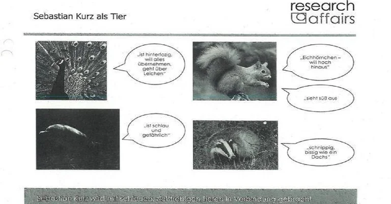 Vorschaubild: DOKUMENTIERT: Die Beinschab-Studie