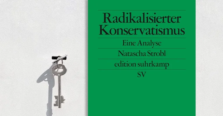 Vorschaubild: DAS POLITISCHE BUCH: Nats Nazis
