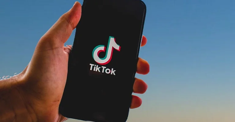 Vorschaubild: TikTok sperrt offiziellen AfD-Account