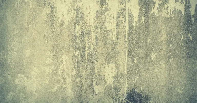 Vorschaubild: Die Ästhetik der Beklemmung