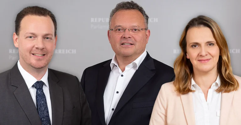 Vorschaubild: FPÖ dankt Demonstranten: Nationalrat schafft Impfpflicht endgültig ab