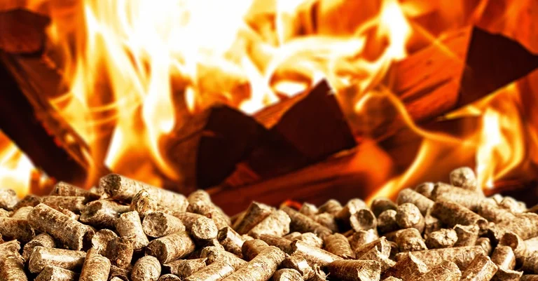 Vorschaubild: Neue EU-Richtlinie: Heizen mit Holz nur bedingt „nachhaltig“