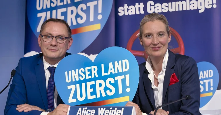 Vorschaubild: Das langjährige Hoch der Alternative für Deutschland