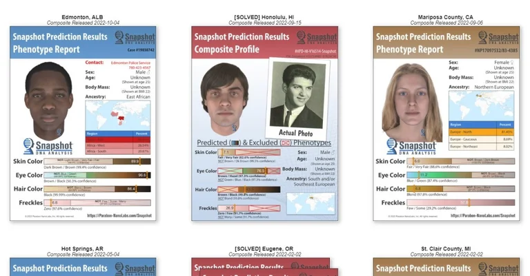 Vorschaubild: Rassismus-Vorwürfe: Realistisches Fahndungsbild auf DNS-Basis wirft Fragen auf