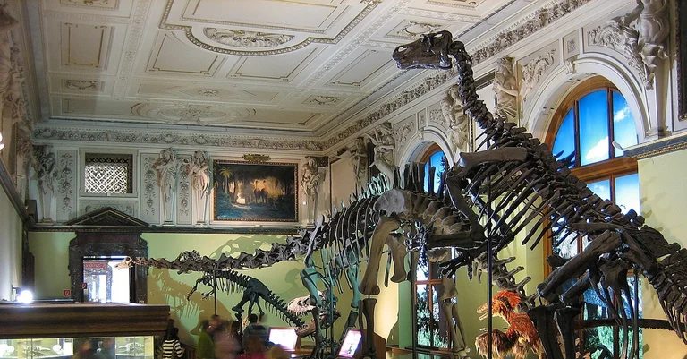 Vorschaubild: „Letzte Generation“: Hausverbot für drei Klimaaktivisten im NHM Wien