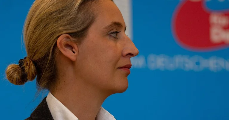 Vorschaubild: AfD kritisiert neues Fachkräfte-Einwanderungsgesetz