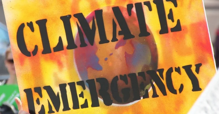 Vorschaubild: Transatlantische Verbindungen der „Klimaschutz“-Bewegung veröffentlicht