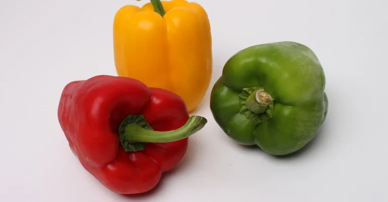 Vorschaubild: Hohe Energiekosten: Gemüseproduktion in Europa vielerorts eingestellt