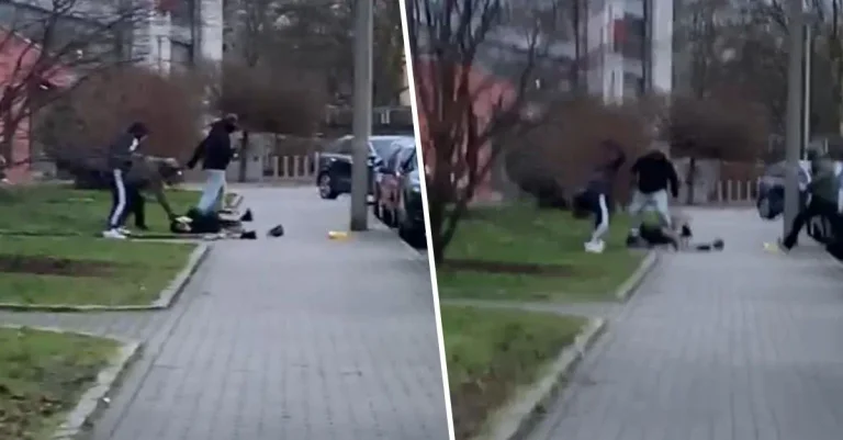 Vorschaubild: Video zeigt brutalen Angriff auf nationale Aktivisten