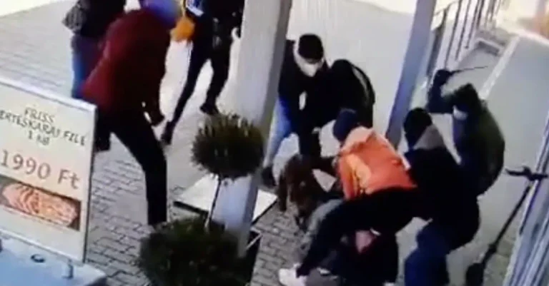 Vorschaubild: Hammerbande: Ungarn beantragt internationalen Haftbefehl gegen zehn Deutsche