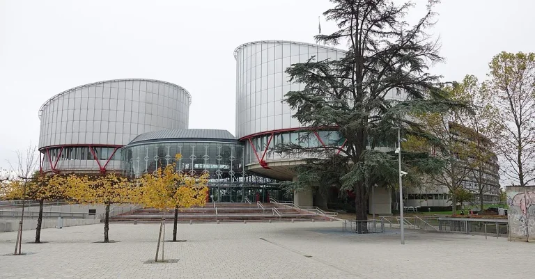 Vorschaubild: „Klimaseniorinnen“ bringen erste Klimaklage vor EGMR