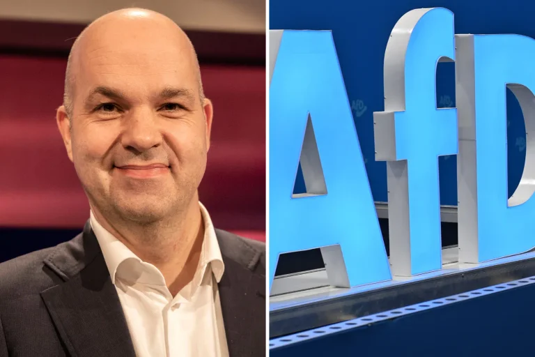 Vorschaubild: Warum Fratzscher mit seiner Studie zur Sozialpolitik der AfD falsch liegt