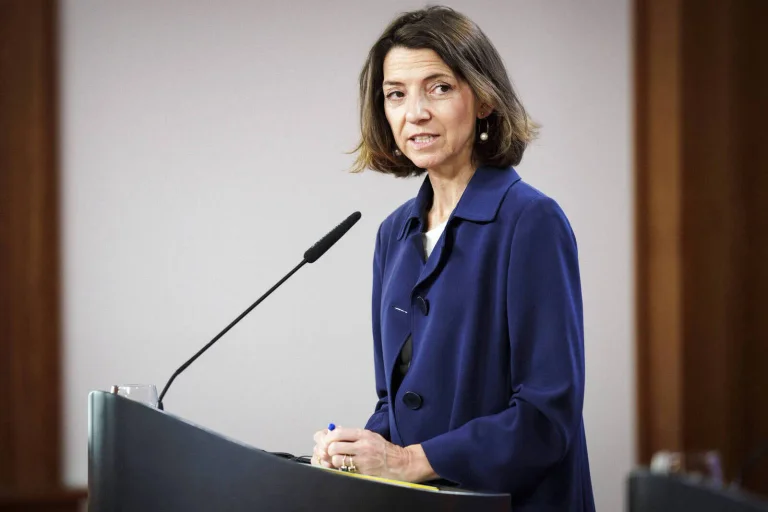 Vorschaubild: Frankreichs EU-Ministerin warnt: AfD will „Bestehendes zerstören“