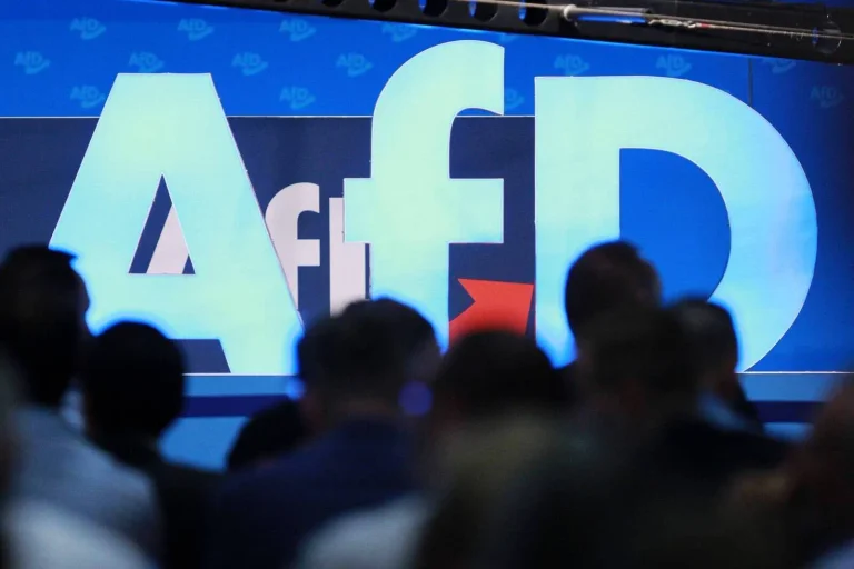 Vorschaubild: Staatsrechtler fordert Verbot mehrerer AfD-Landesverbände