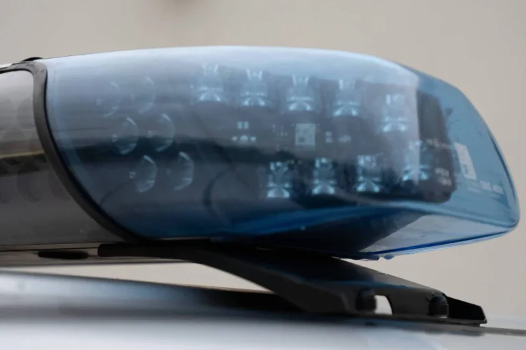 Vorschaubild: Exklusiv: Will die bayerische Staatsanwaltschaft den Wahlkampf der AfD behindern?