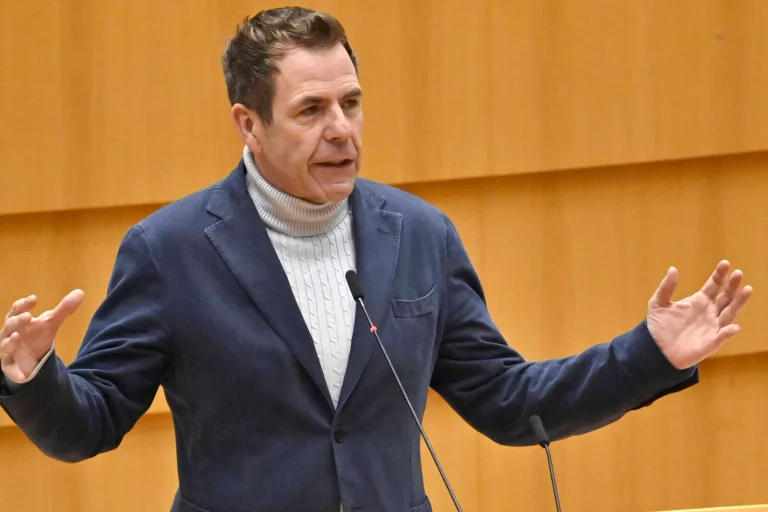 Vorschaubild: EU-Wahl: Vilimsky ist freiheitlicher Spitzenkandidat