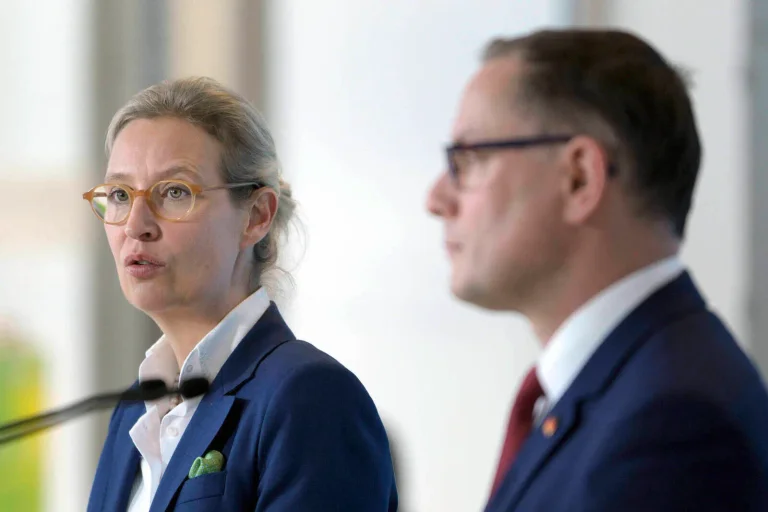 Vorschaubild: Umfrage: Halb Deutschland kann sich eine Regierung mit der AfD vorstellen