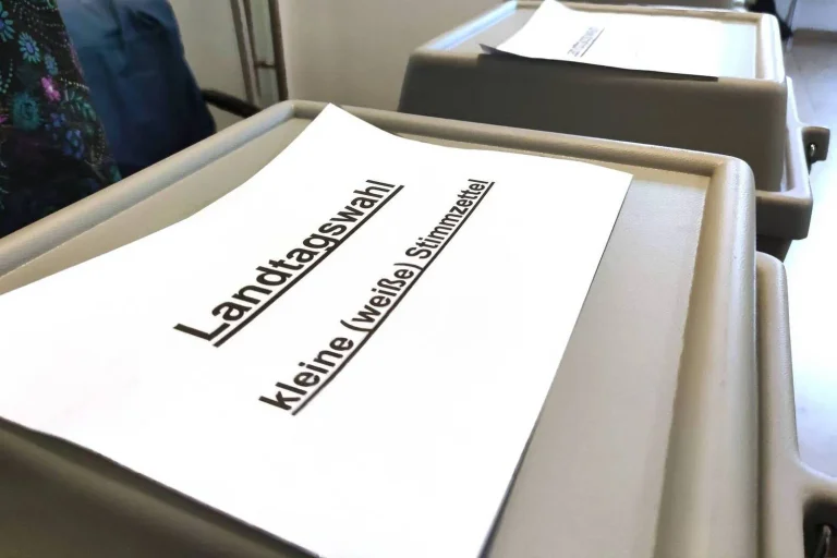 Vorschaubild: „Scheiß auf Demokratie“: Influencer ruft zum Verbrennen von AfD-Stimmen auf