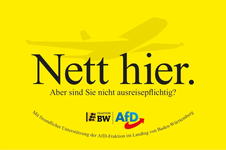 Vorschaubild: „Nett hier. Aber ...“: Kreative Remigration-Kampagne der AfD erregt die Gemüter