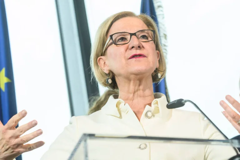 Vorschaubild: Mikl-Leitner zum Fall Windl: „Auf Österreichs Straßen herrscht Narrenfreiheit“