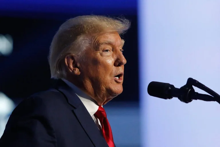 Vorschaubild: Im Falle seiner Wiederwahl: Trump will „größte Abschiebeaktion der Geschichte“ einleiten